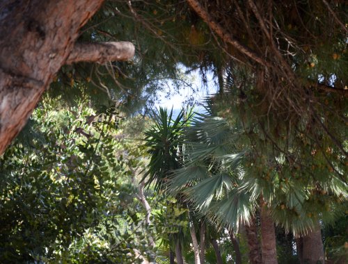 Estudio con una terraza espectacular de 70m² en la playa