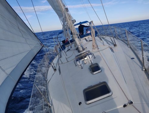 Velero en alquiler en Marbella Jeanneau Sun Charm 39